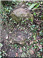ST7398 : Remains of a Stone Stile, Stinchcombe by Jayne Tovey