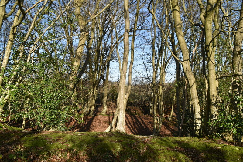 Woodland by Frogs Hole Lane © N Chadwick :: Geograph Britain and Ireland