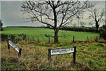 H5064 : Road signs, Moylagh by Kenneth  Allen
