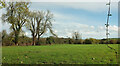 Grass field, Grove End