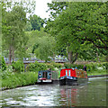 SO8582 : Canal south-east of Kinver in Staffordshire by Roger  D Kidd