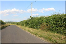 TL4842 : Elmdon Road before Ickleton by David Howard
