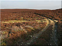 NN7696 : Moorland track at Corry Ruthven by wrobison