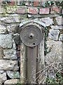 SJ4206 : Old ironwork on roadside in Plealey village by Andrew Shannon