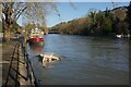 SU9082 : River Thames below Boulter's Lock by Bill Boaden