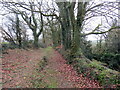 Llwybr ger Fron Ganol / Path near Fron Ganol