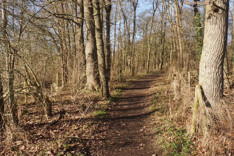 Woodland path near Formosa Place © Bill Boaden :: Geograph Britain and ...