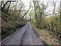 Llwybr a ffordd fynedfa / Path and access road