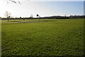 The Alfred Major Recreation Ground