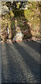 Old Milestone by the B5427, Oaklands