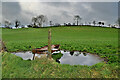 H4075 : Waterlogged feeding trough, Dunwish by Kenneth  Allen
