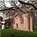 SP3780 : Easter magnolia at St Mary's parish church, Walsgrave-on-Sowe by A J Paxton