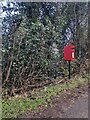 ST5598 : Queen Elizabeth II postbox, Tidenham Chase, Gloucestershire by Jaggery