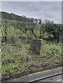 Old Milestone by the A35, north of Shute