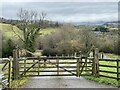 Gate and track to Wern Ganol