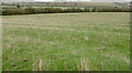 Ridge and furrow west of Long Compton