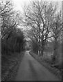 The road to Tan-y-graig, Pentre-Celyn