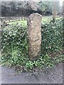 Old Boundary Marker near Tregullow