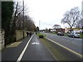 Dual use path beside Great North Road (B1318)