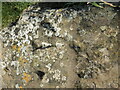 Living rock with benchmark on Glastonbury Tor