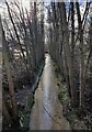 Lubbesthorpe Brook in the Osiers Nature Area