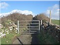 Gate on Sutton Rise, Ogmore-by-Sea