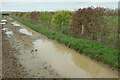 Puddles on the path from Long Compton