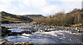 NY8728 : River Tees near Force Garth Quarry by Trevor Littlewood