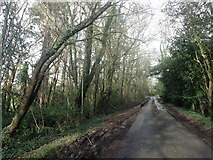 SU2907 : Pinkney Lane by Marathon