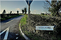 H4276 : Rash Road, Mountjoy Forest West by Kenneth  Allen