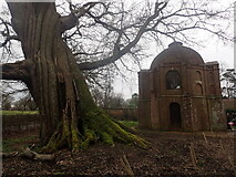 SU6356 : The Hundred Guinea Oak and the Summerhouse at The Vyne by Marathon