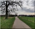 Path towards Tay Road at New Lubbesthorpe