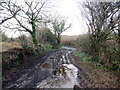 Llwybr yn cyrraedd yr heol / Path approaching the road