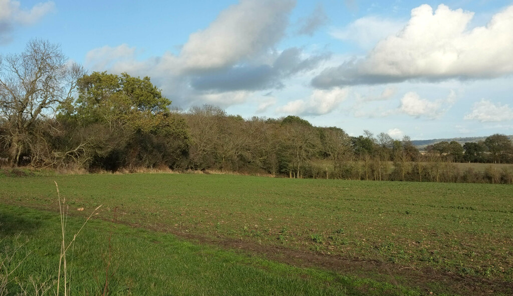 Belt of trees, Oaktree Coppice © Derek Harper :: Geograph Britain and ...