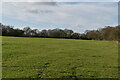TQ8243 : Low Weald pasture by N Chadwick