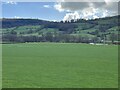 Afon Tanat flood plain