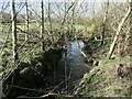 Tems Beck, looking upstream