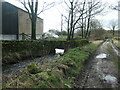 Runley Beck at Runley Bridge Farm