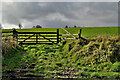 Gate to field, Ballyrenan