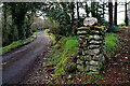 Stone pillar, Ballyrenan