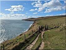 SY9876 : Coastal Path, Seacombe Cliff by J I Cheetham