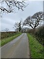 Country lane to Cosheston