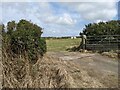 A camping field near Isle of Wight