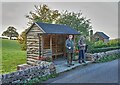 Rustic Shelter