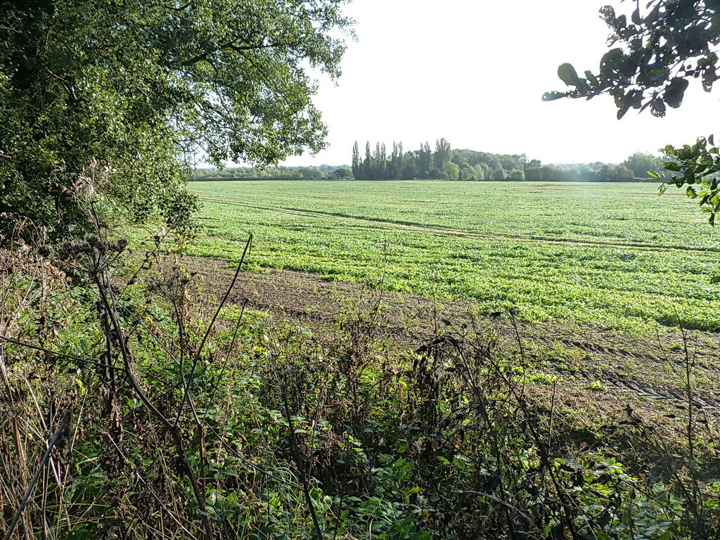 low-lying-farmland-between-canal-and-richard-law-geograph