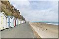 Beach huts