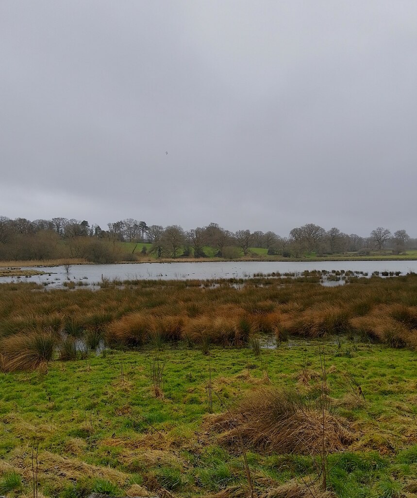 Marshes at The Vyne © Oscar Taylor :: Geograph Britain and Ireland