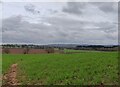 Farmland near Battlefield Farm