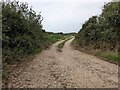 SW6918 : A dried mud surface to the bridleway by David Medcalf