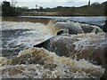 SD8164 : Weir and fish ladder, River Ribble, Settle by Christine Johnstone